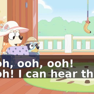 - Ooh, ooh, ooh! - Ooh! I can hear them!