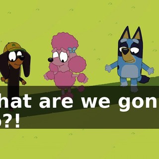 What are we gonna do?!