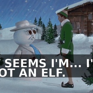 IT SEEMS I'M... I'M NOT AN ELF.