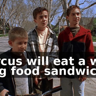 Circus will eat a wet dog food sandwich.
