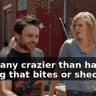 2745b2bf-1000-4950-b2c4-63a2160eec26.gif