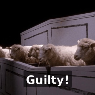 Guilty!