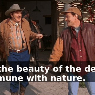 See the beauty of the desert, commune with nature.