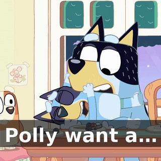 Polly want a…