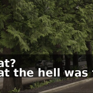 - What? - What the hell was that?