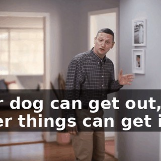 Your dog can get out, but other things can get in.