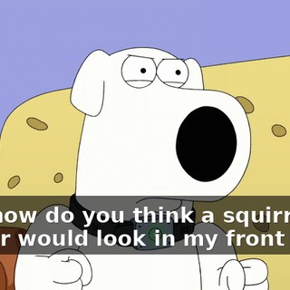 294166b8-941b-427b-bf62-b4b54f385151.gif