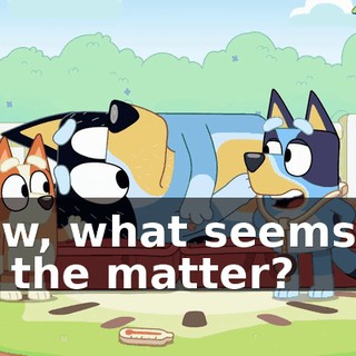 Now, what seems to be the matter?