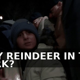 ANY REINDEER IN THE PARK?