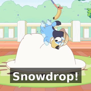 29ca920a-2e8e-442d-9099-040f4a7b6f22.gif