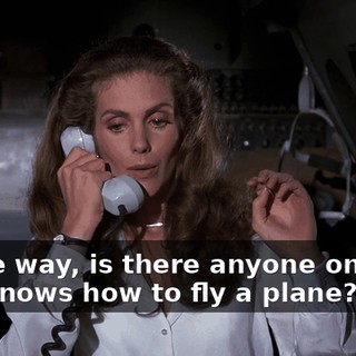 By the way, is there anyone onboard who knows how to fly a plane?