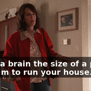 with a brain the size of a piece of gum to run your house.