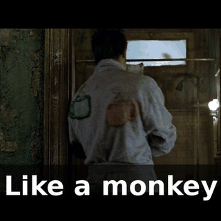 Like a monkey