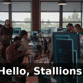 Hello, Stallions.