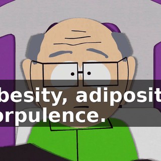 Obesity, adiposity, corpulence.