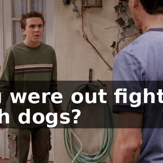 You were out fighting with dogs?