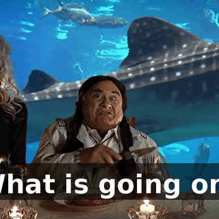 2a954306-ee6b-4b58-8670-426f1d33e171.gif