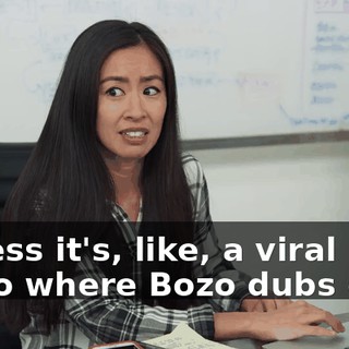 I guess it's, like, a viral video where Bozo dubs over.