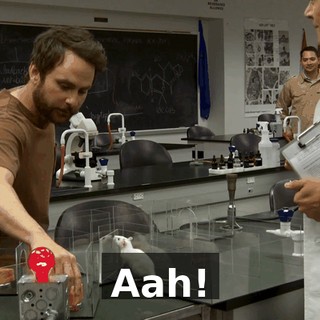 2ae15f5e-4737-4f96-bfac-7a8176154907.gif
