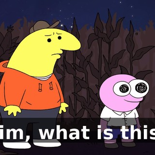 Pim, what is this?