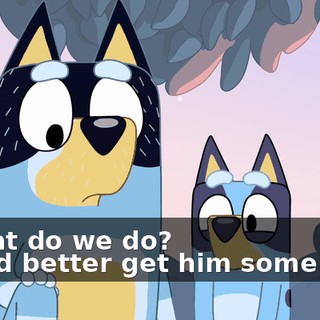 2b085040-d101-48d4-a4c3-d382d168c0b0.gif