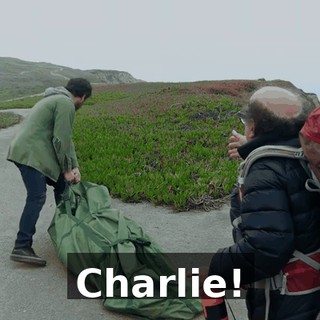 2b113d67-b2ff-4fde-b6b0-4a33f6cd85bd.gif