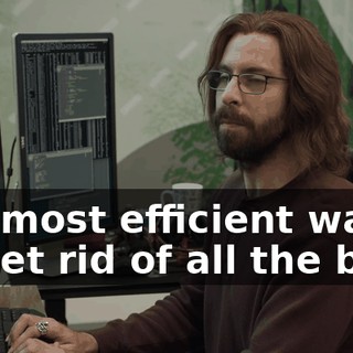 the most efficient way to get rid of all the bugs