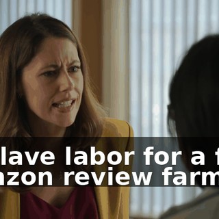 as slave labor for a fake Amazon review farm?