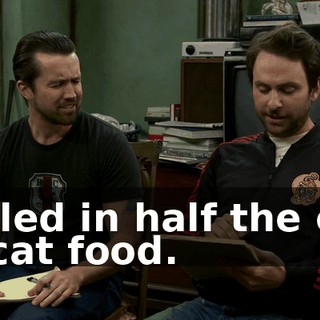 I filled in half the can of cat food.