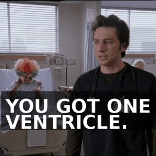 2ba0765c-8c85-4167-8137-73d3a34ad216.gif