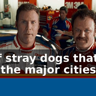 Packs of stray dogs that control most of the major cities.