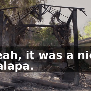 Yeah, it was a nice palapa.