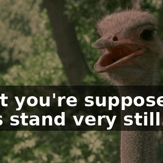 2c1a9056-432c-4954-9bf0-a849605acb26.gif
