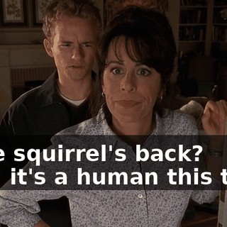 - The squirrel's back? - No, it's a human this time.