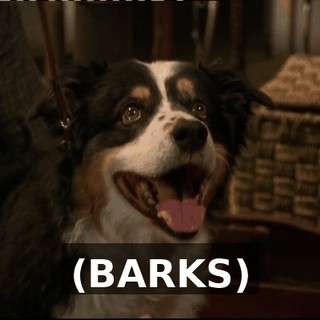 2c5bca5b-1ac2-4918-88b4-be3cbbff2a66.gif