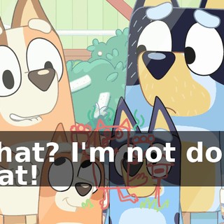 What? I'm not doin' that!