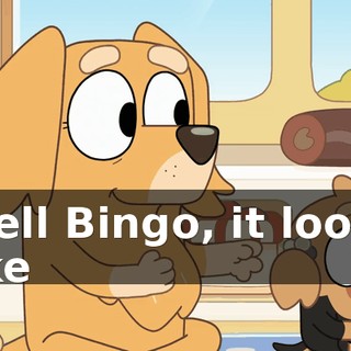 Well Bingo, it looks like