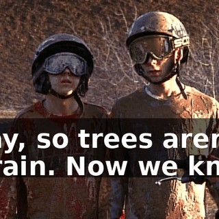 Okay, so trees aren't terrain. Now we know.