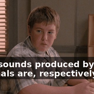 The sounds produced by said animals are, respectively:
