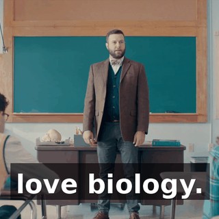 2cb22a56-21a1-4c01-bbbd-a0e1f7347d8b.gif
