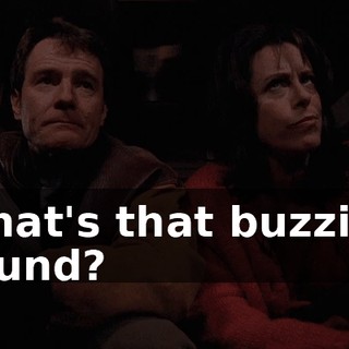 What's that buzzing sound?
