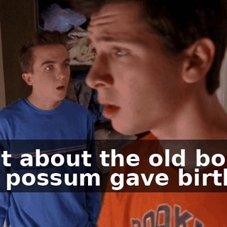 What about the old boot that possum gave birth in?