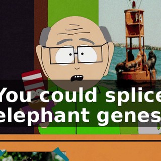 2d2ce46b-c2a5-41f8-a733-5480d42f6349.gif