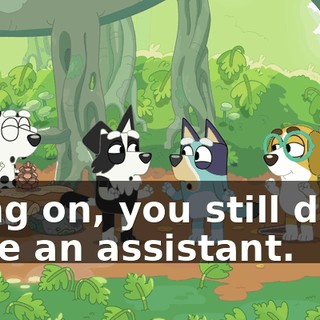 Hang on, you still don't have an assistant.