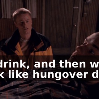 we drink, and then we work like hungover dogs.