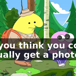 Do you think you could actually get a photo?
