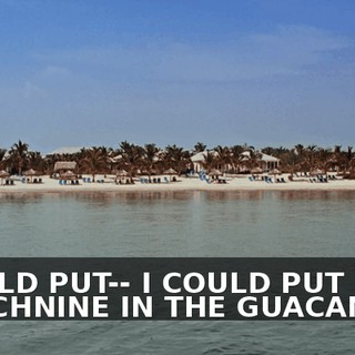I COULD PUT-- I COULD PUT STRYCHNINE IN THE GUACAMOLE.