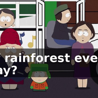 of rainforest every day?