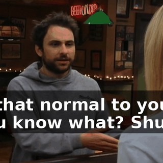 - Is that normal to you? - You know what? Shut up