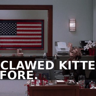 DECLAWED KITTENS BEFORE.